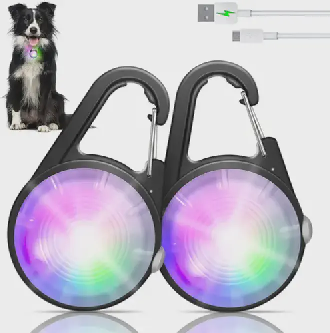 Clip-on Collar light for walking pet